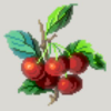 F-MB002 Cherries