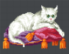 I-II006 White cat on red and purple pillows