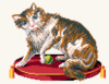 L-MB001 Conseiller des Dames et des Demoiselles - Cat with green ball