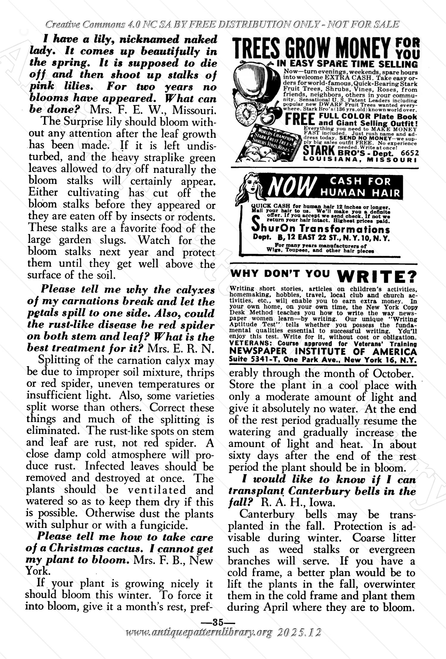 I-WB172 The Workbasket Volume 17 November 1951 No. 2