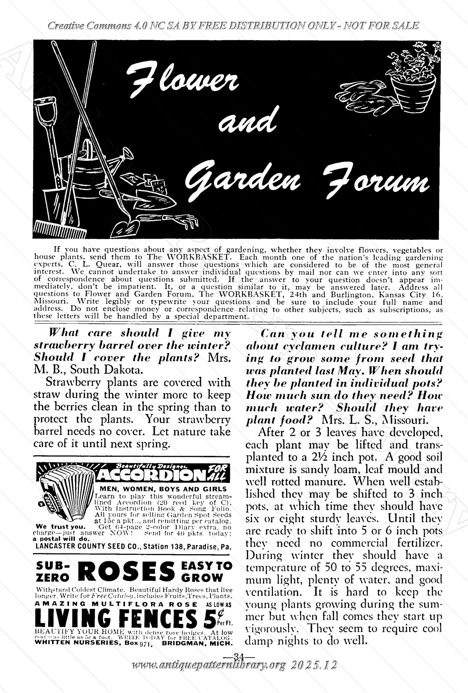 I-WB174 The Workbasket Volume 17 January 1952 No. 4