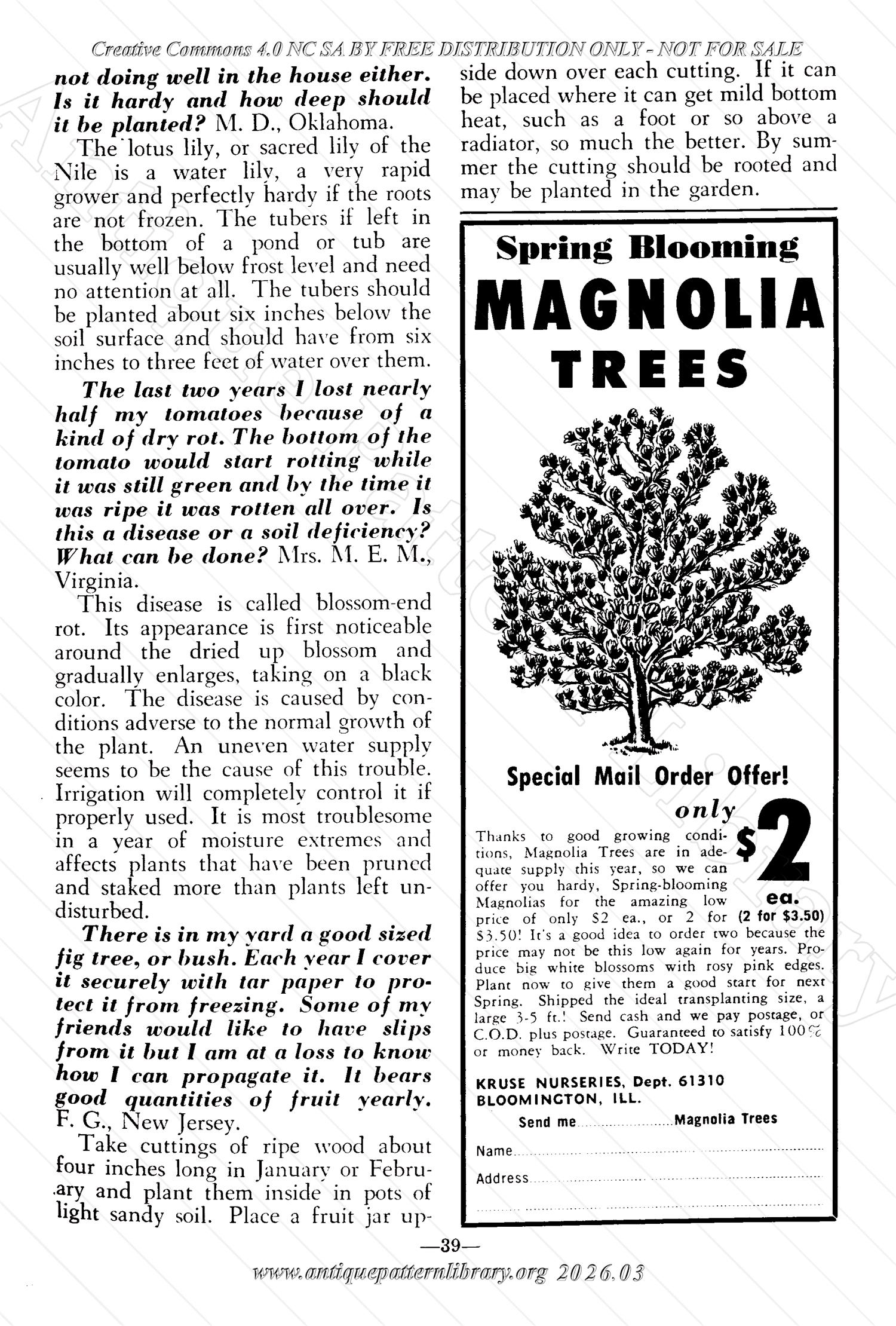 I-WB176 The Workbasket Volume 17 March 1952 No. 6